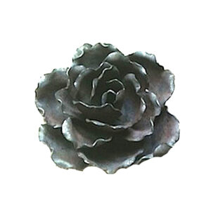 flower roseC