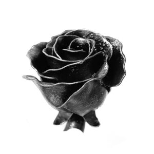 アイアン,鉄,バラ,薔薇,ローズ