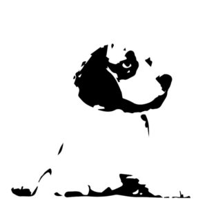 模様抽出
