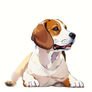 イラスト化