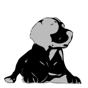 ディテール
